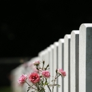 THE RGBW �RETURN TO GORAZDE�� JUNE 2012 � APPEAL