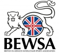 BEWSA