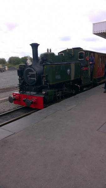 Race the Train