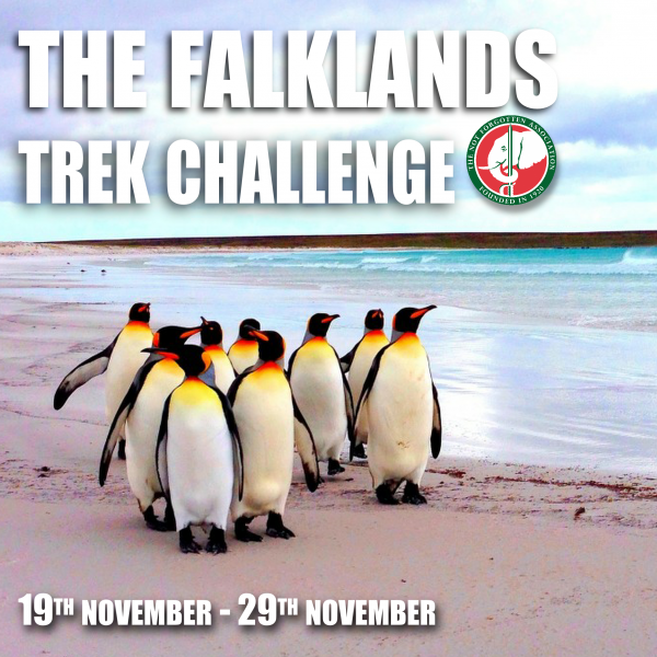 Falklands Insta