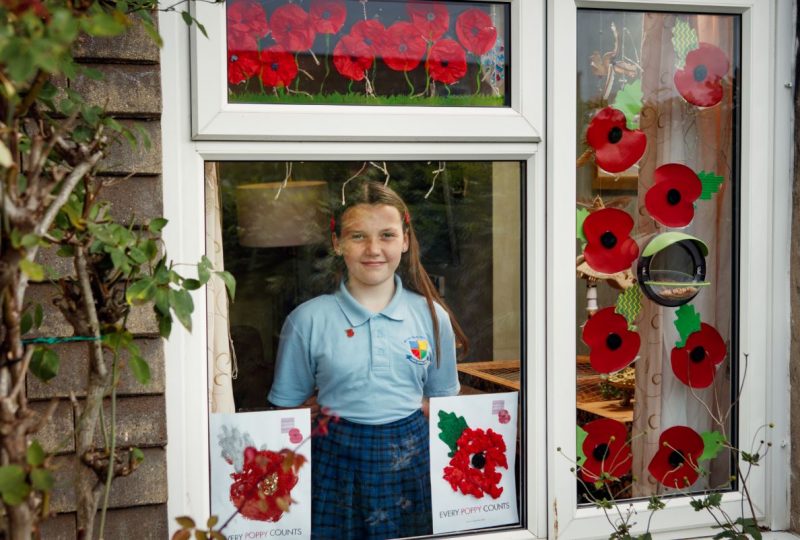 Every Poppy Counts: The Royal British Legion urges people to show their ...