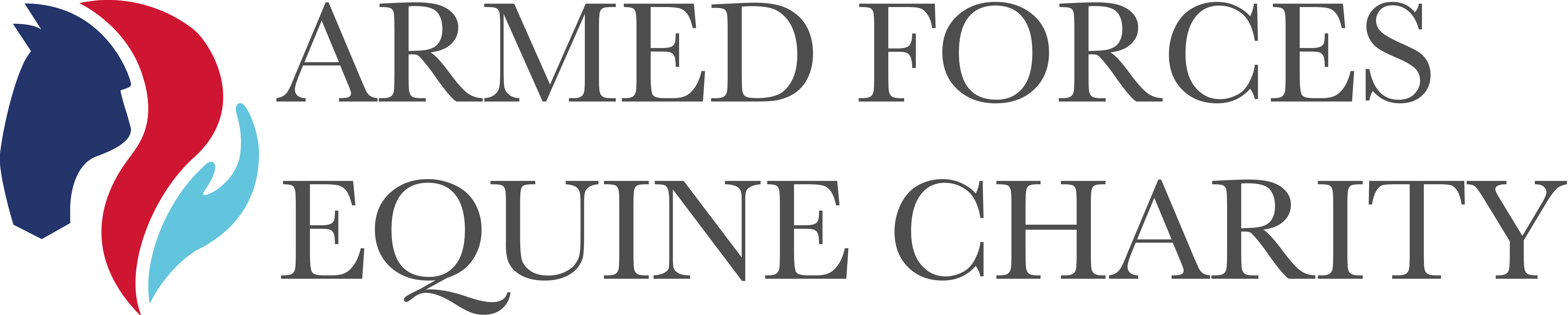 The Armed Forces Equine Charity